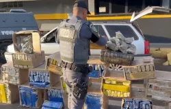 Motorista é preso com mais de 500 kg de entorpecentes pela Polícia Rodoviária em Presidente Bernardes