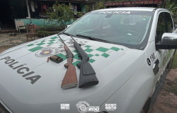 Natividade da Serra registra multa e apreensão de armas após desmatamento