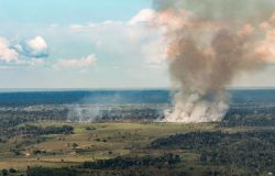 Norte recebe R$ 68,6 milhões do Governo Federal para ações contra seca e incêndios