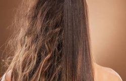 Óleo de argan e óleo de coco: o segredo natural para eliminar o frizz dos cabelos