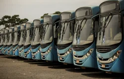 Ônibus rodarão 100% em Salvador após determinação do Tre-ba com multa de R$ 1 milhão por hora