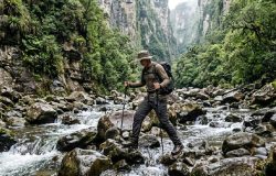 Pampas e cânions gigantes revelam a força da natureza na mata atlântica do sul