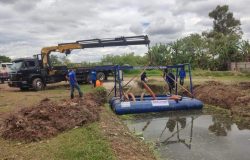 pantanal