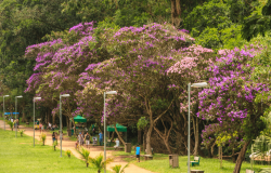 Parque do Carmo