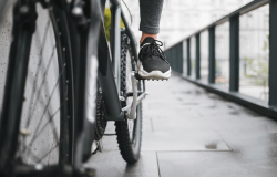 pedala