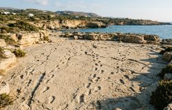 Pegadas em Creta desafiam cronologia sobre a origem da caminhada bípede humana