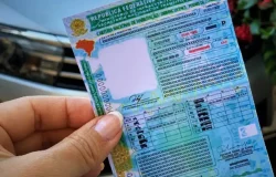 Permissão para dirigir no exterior: Detran-sp simplifica emissão online