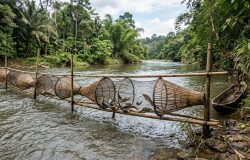 Pescador ribeirinho recebe multa milionária por armadilhas em rio de área protegida