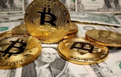 Plataforma online oferece criptomoedas em troca de apoio a candidato