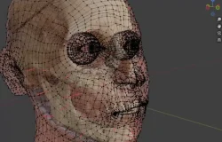 Polícia de São Paulo usa técnica de reconstrução facial para identificar restos mortais