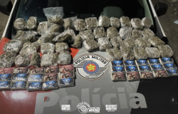 Policiais militares apreendem quase oito quilos de drogas em ônibus na Rodovia Dutra