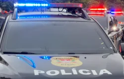 organização criminosa