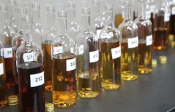 Por dentro dos critérios rigorosos que definem uma cachaça premiada