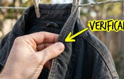 Por que secar completamente as roupas antes de guardar é essencial para o seu armário