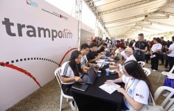 Portal trampolim auxilia empresas paulistas na contratação de temporários
