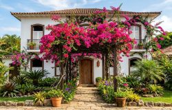 Primavera: a trepadeira ideal para fachadas vibrantes e de fácil cuidado