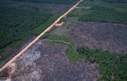 Quinta rodada de leilões do Eco Invest Brasil busca acelerar tecnologias para a transição verde