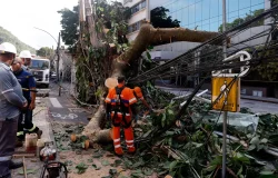Rede elétrica resiliente exige investimentos urgentes de concessionárias no Brasil