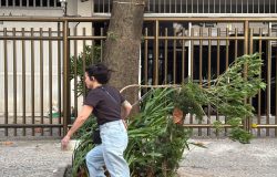 Rio de Janeiro entra em alerta devido a rajadas de vento que podem atingir 75 km/h
