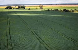 Senado aprova plano para impulsionar produção nacional de fertilizantes