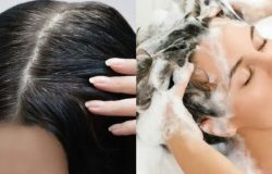 Shampoo 3 em 1 ganha popularidade ao prometer disfarçar fios brancos com rapidez