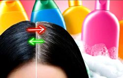 Shampoo natural: a alternativa caseira para escurecer cabelos sem química agressiva