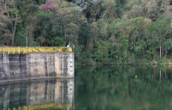 Sistema Cantareira melhora nível e entra na faixa de atenção após chuvas