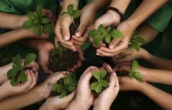 sustentabilidade1