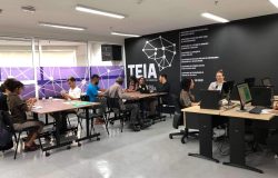 Teia