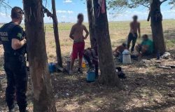 trabalho escravo