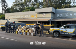 Traficante é preso com mais de meia tonelada de drogas após fuga em Presidente Bernardes