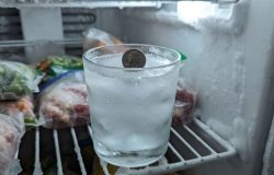 Truque da moeda no freezer: como saber se a comida estragou durante sua viagem