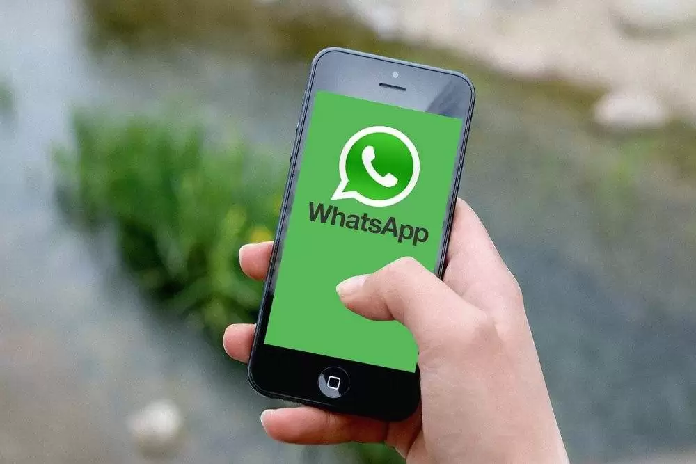 156 pelo Whatsapp