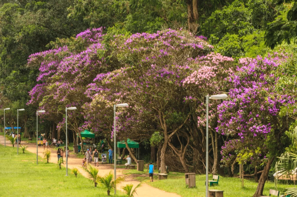 Parque do Carmo