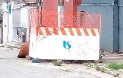 foto cidade lider4